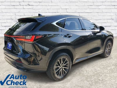 2024 Lexus NX 250 NX 250