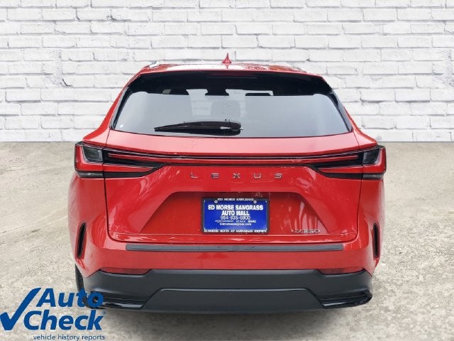 2024 Lexus NX 250 NX 250