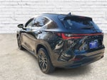 2024 Lexus NX NX 250 Premium