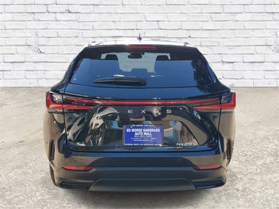 2024 Lexus NX NX 250 Premium