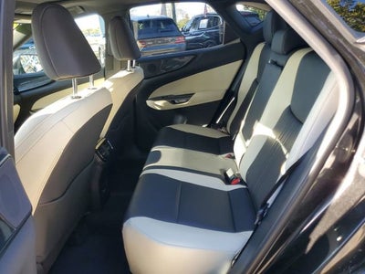 2024 Lexus NX NX 250 Premium